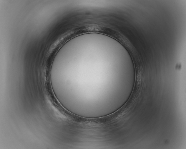 X0000111670722200908071457