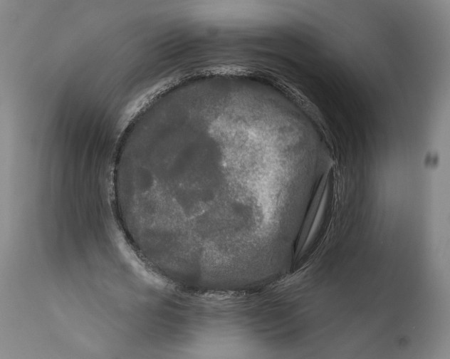 X0000111670725200908071457