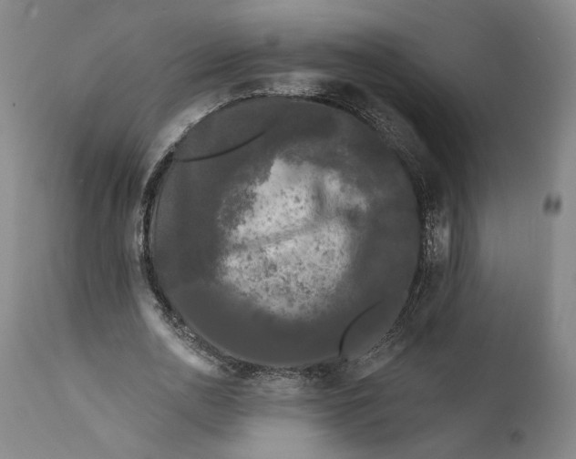 X0000111670726200908071457