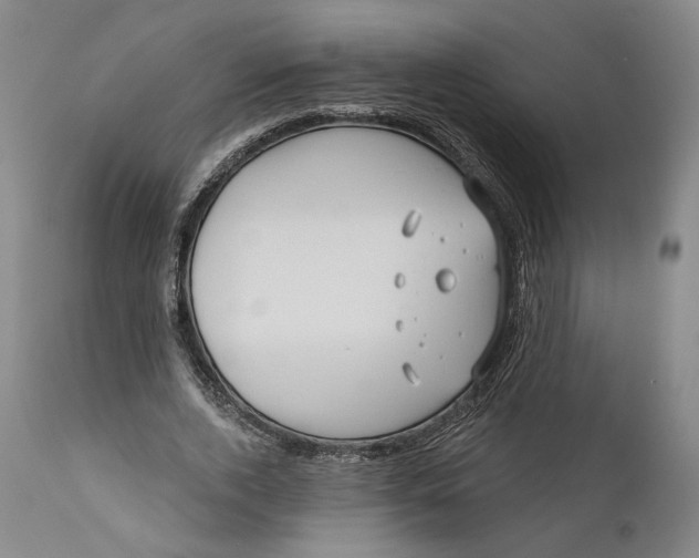 X0000111670728200908071457