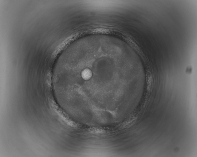 X0000111670729200908071457