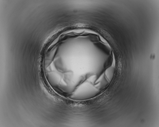 X0000111670730200908071457