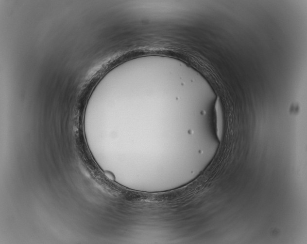 X0000111670732200908071457