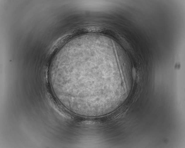 X0000111670733200908071457