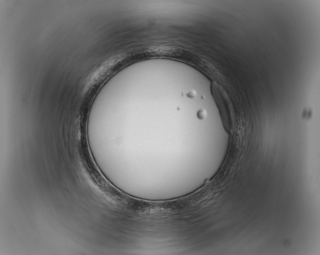 X0000111670734200908071457