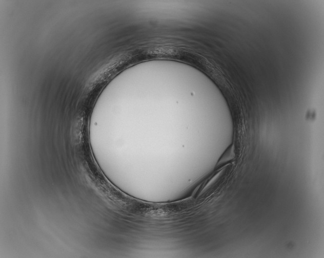 X0000111670735200908071457