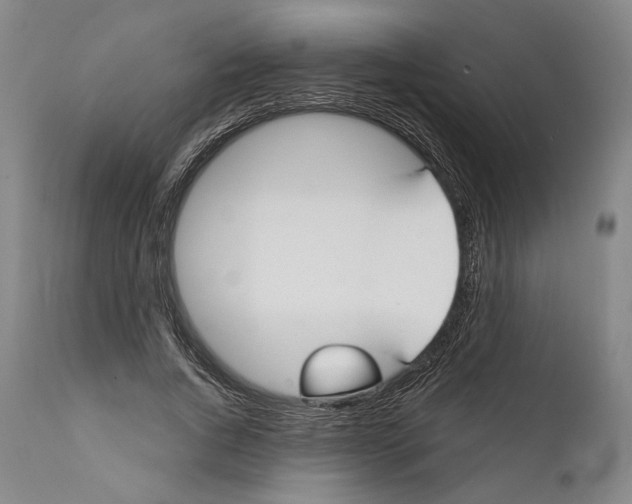 X0000111670736200908071457