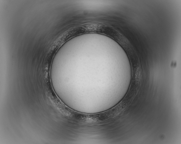 X0000111670737200908071457