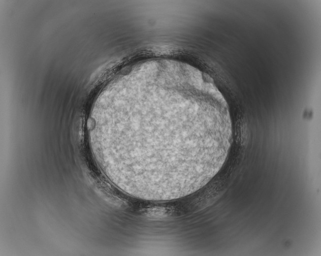 X0000111670740200908071457