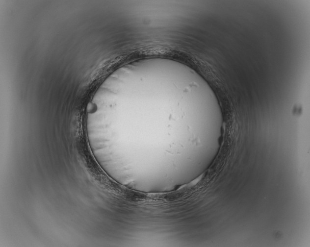 X0000111670743200908071457