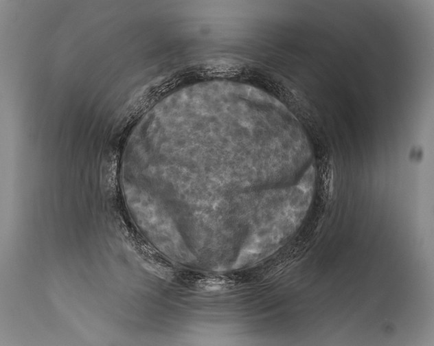 X0000111670745200908071457