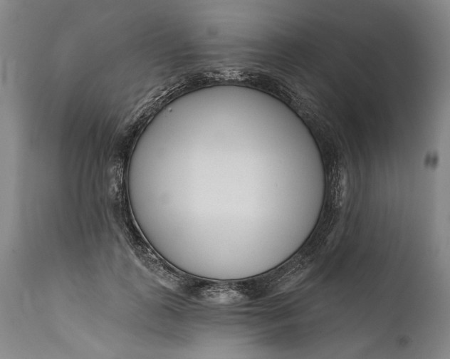 X0000111670747200908071457