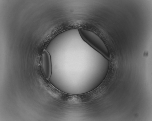 X0000111670750200908071457