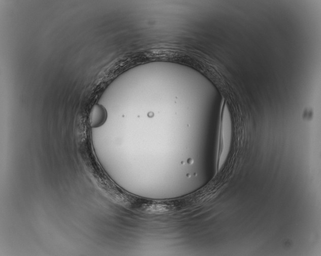 X0000111670751200908071457