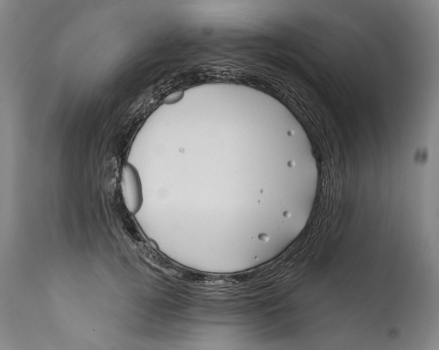 X0000111670752200908071457