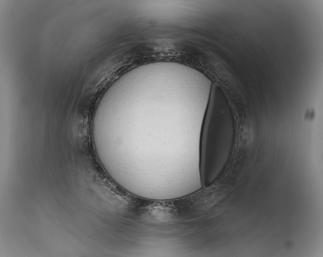 X0000111670756200908071457