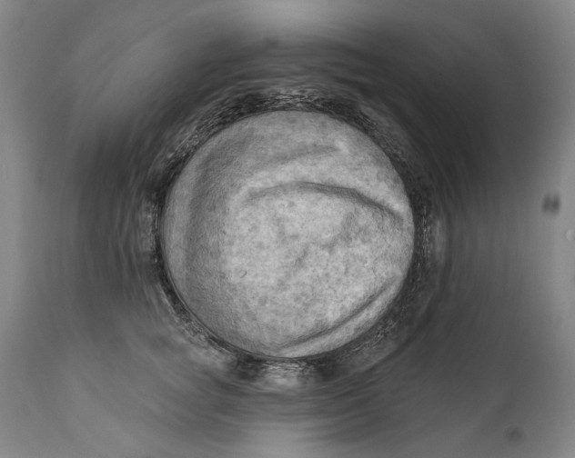 X0000111670757200908071457