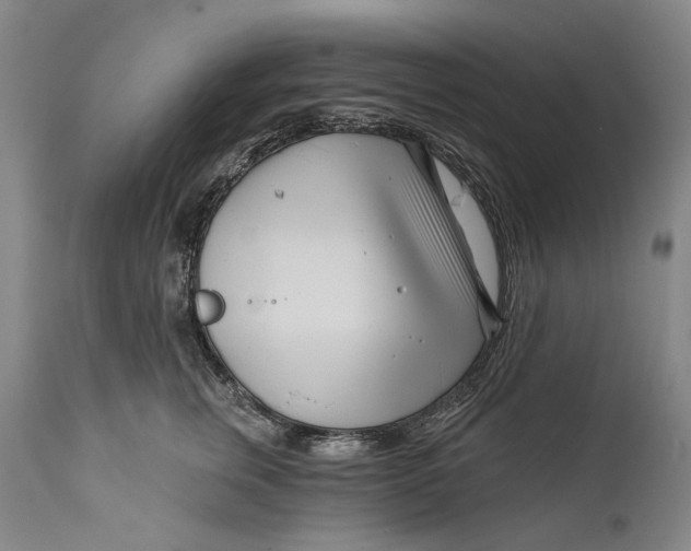 X0000111670759200908071457