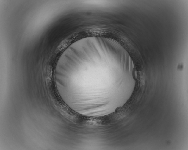 X0000111670760200908071457