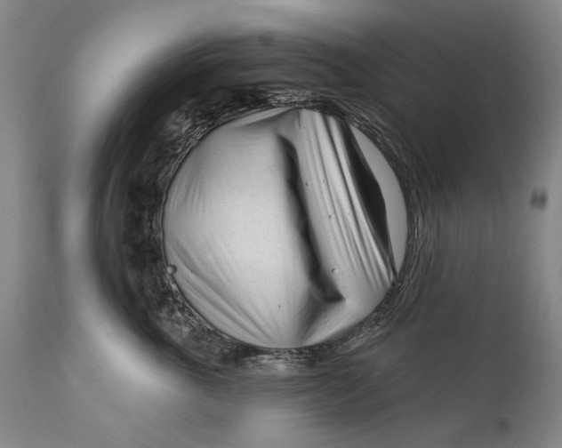 X0000111670763200908071457