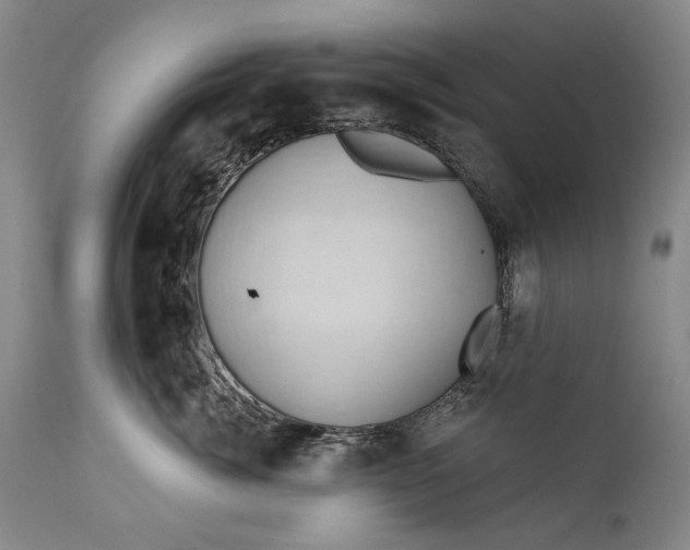 X0000111670764200908071457