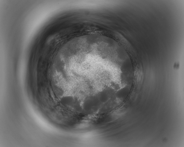 X0000111670765200908071457