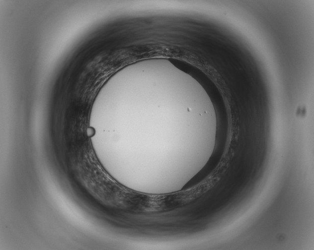 X0000111670766200908071457