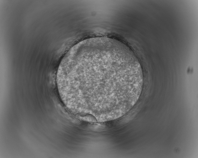 X0000111670768200908071457