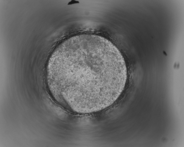 X0000111670769200908071457