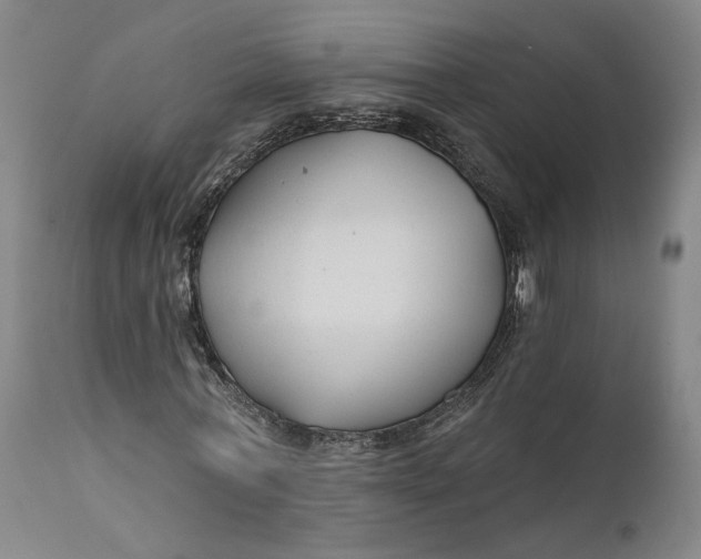 X0000111670771200908071457