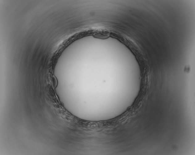 X0000111670776200908071456