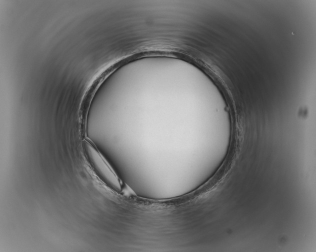 X0000111670779200908071456