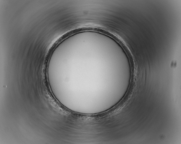 X0000111670783200908071456