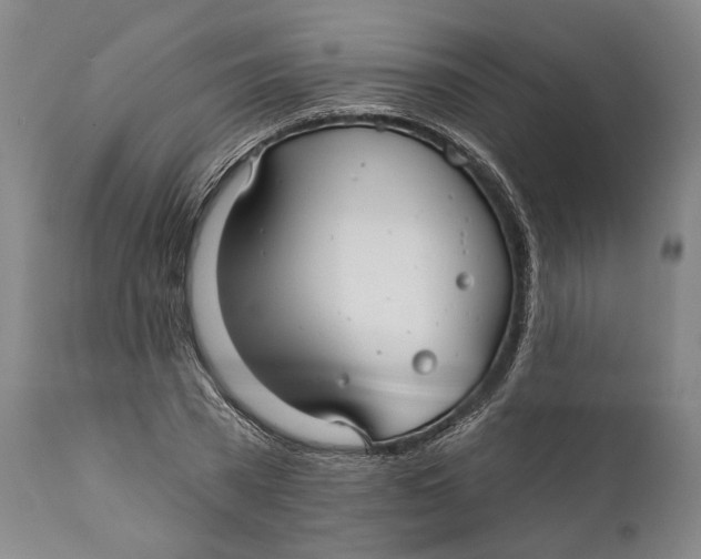 X0000111670785200908071456