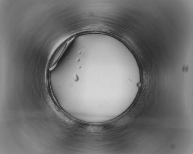 X0000111670788200908071456