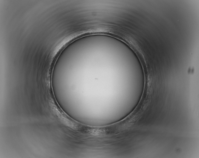 X0000111670789200908071456