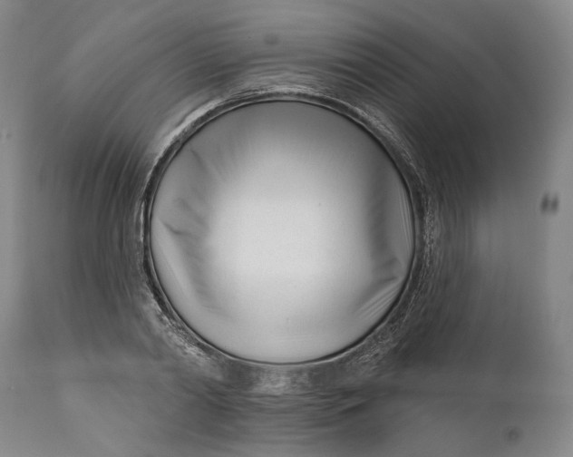 X0000111670790200908071456