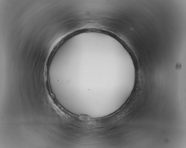 X0000111670791200908071456