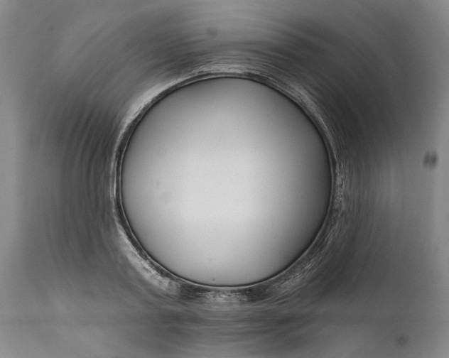 X0000111670795200908071456