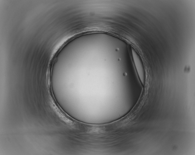 X0000111670796200908071456