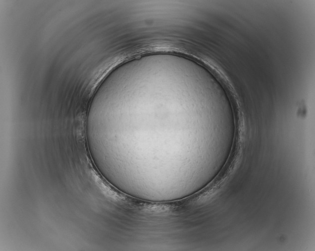 X0000111670801200908071456