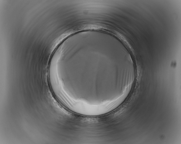 X0000111670802200908071456