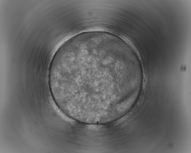 X0000111670805200908071456