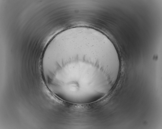 X0000111670806200908071456