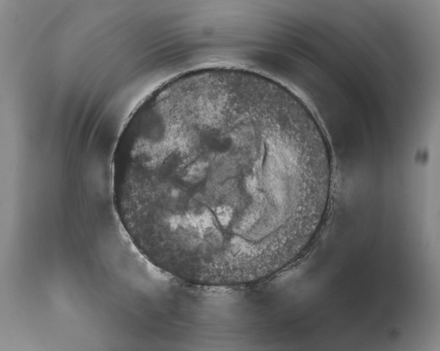 X0000111670807200908071456