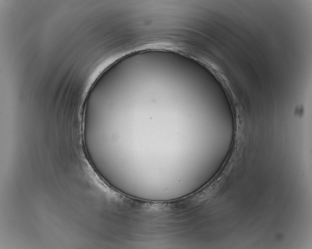 X0000111670808200908071456