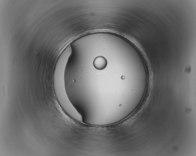 X0000111670809200908071456