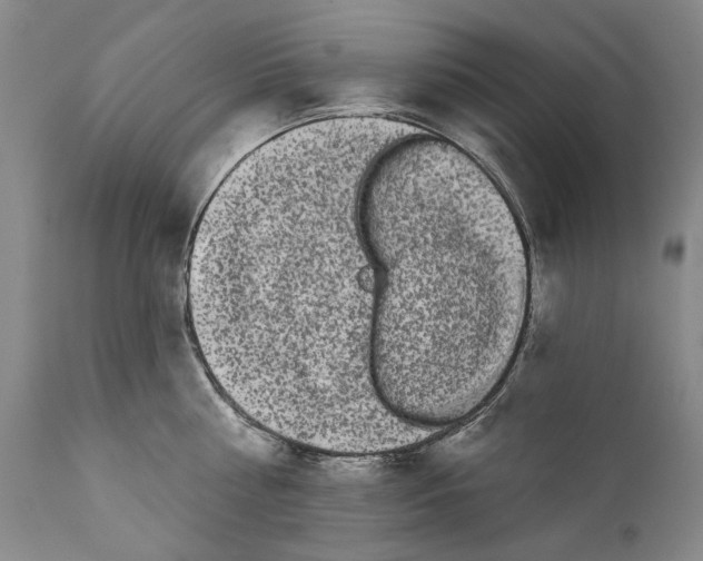 X0000111670810200908071456