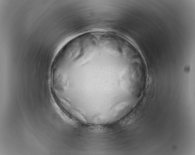 X0000111670811200908071456