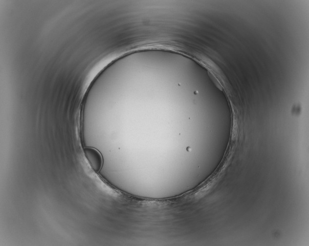 X0000111670812200908071456